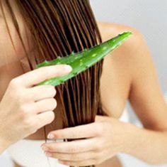 hair_aloe
