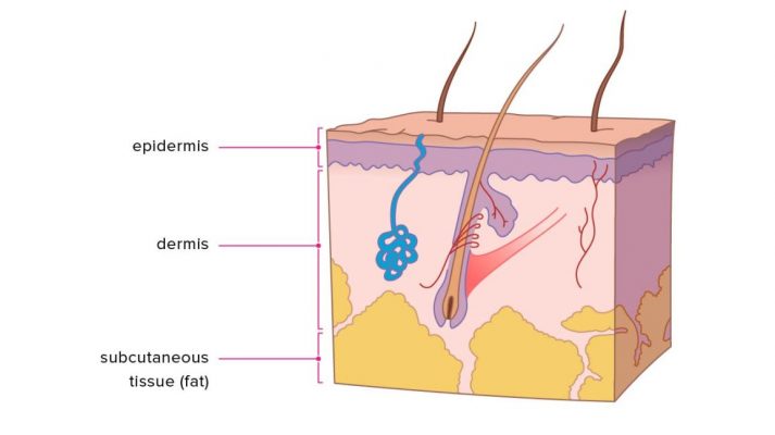 skin-layers