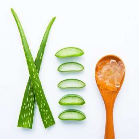 aloe vera for hair