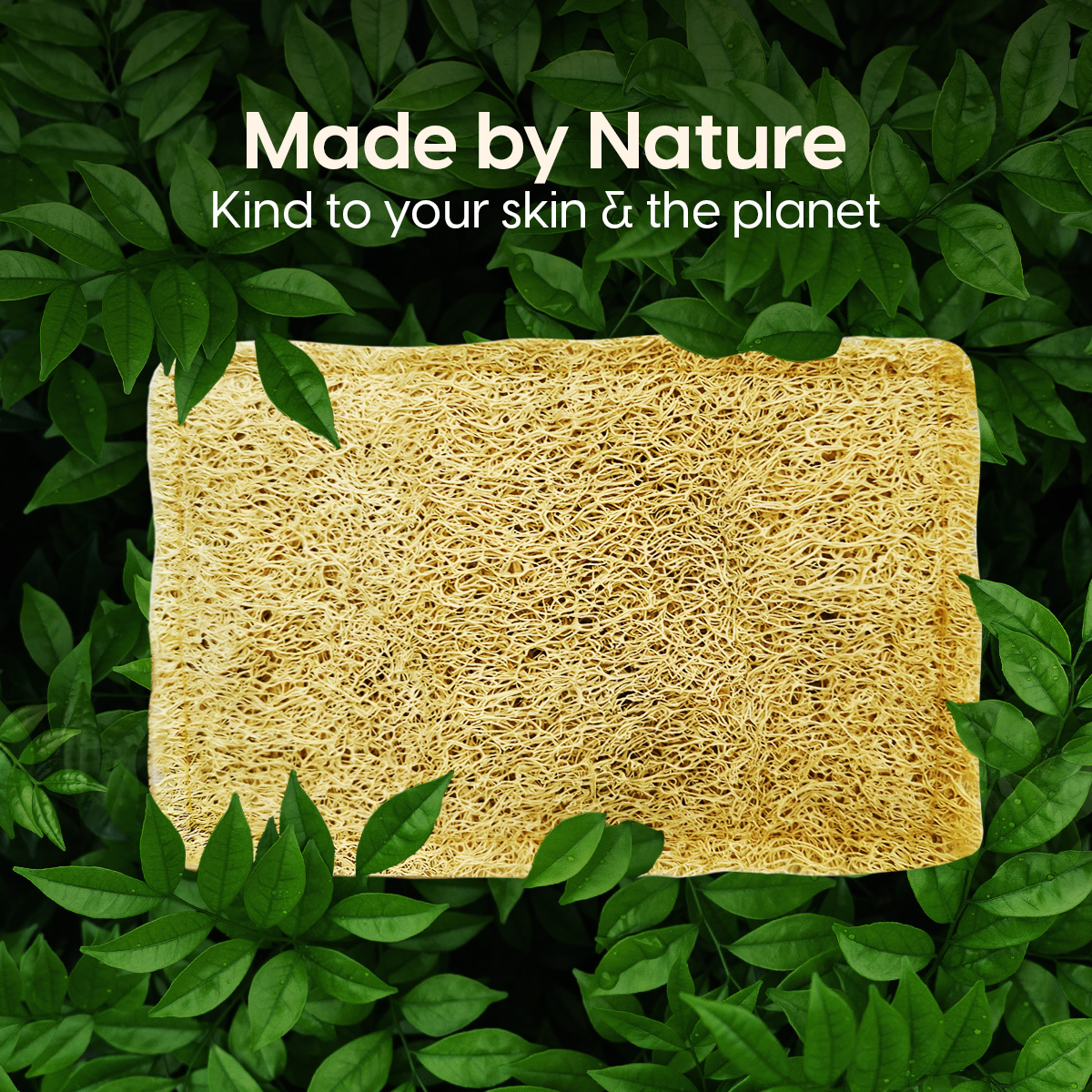 Matra Natural Sun Dried Bath Loofah Body Scrubber Shower Sponge for Deep Cleanse, Glow & Exfoliation - Image 3